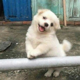 今天和明天都要快乐哦