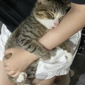 麻烦 今天你也要开心